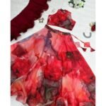 Organza Lehenga set - Maroonish Red