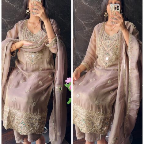 Premium Jwellery Neckline Suit - Chikoo