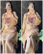 Premium Tissue Organza 3 Piece Coord with Bustier - Chickoo