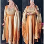 Premium Tissue Hand work Anarkali Set