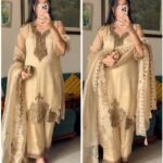 Farheen Oxidised Organza Suit Set-BEIGE